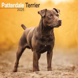 Avonside Patterdale Terrier Kalender 2025