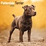 Patterdale Terrier Calendario 2025