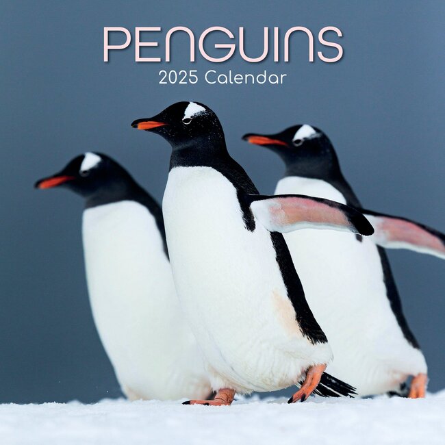The Gifted Stationary Calendario Penguin 2025