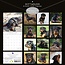 Calendrier Rottweiler 2025