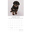 Rottweiler Kalender 2025