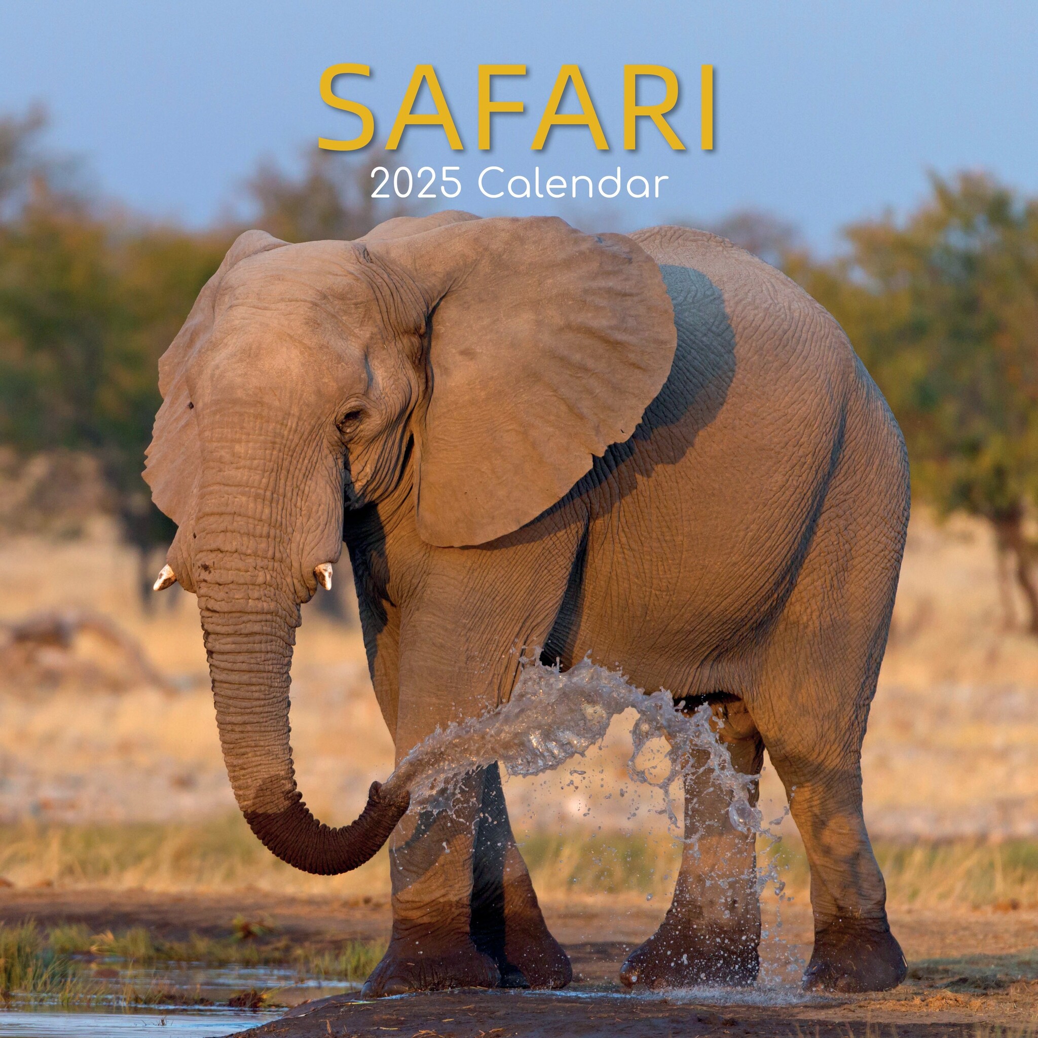 Buying Safari Calendar 2025 simply order online Kalenderwinkel.nl