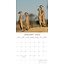 Calendrier Safari 2025