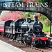 The Gifted Stationary Steam Trains Kalender 2025