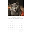 Top Cats Calendar 2025