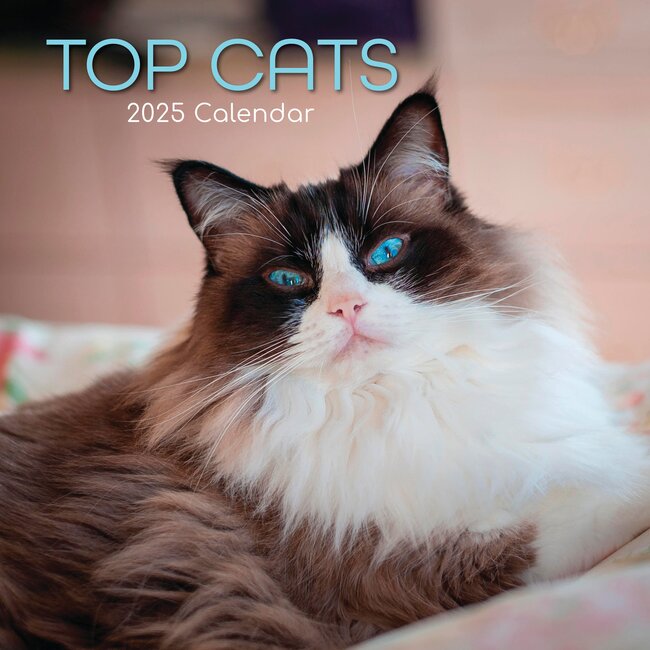 The Gifted Stationary Calendario Top Cats 2025