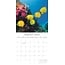 Under the Sea Kalender 2025