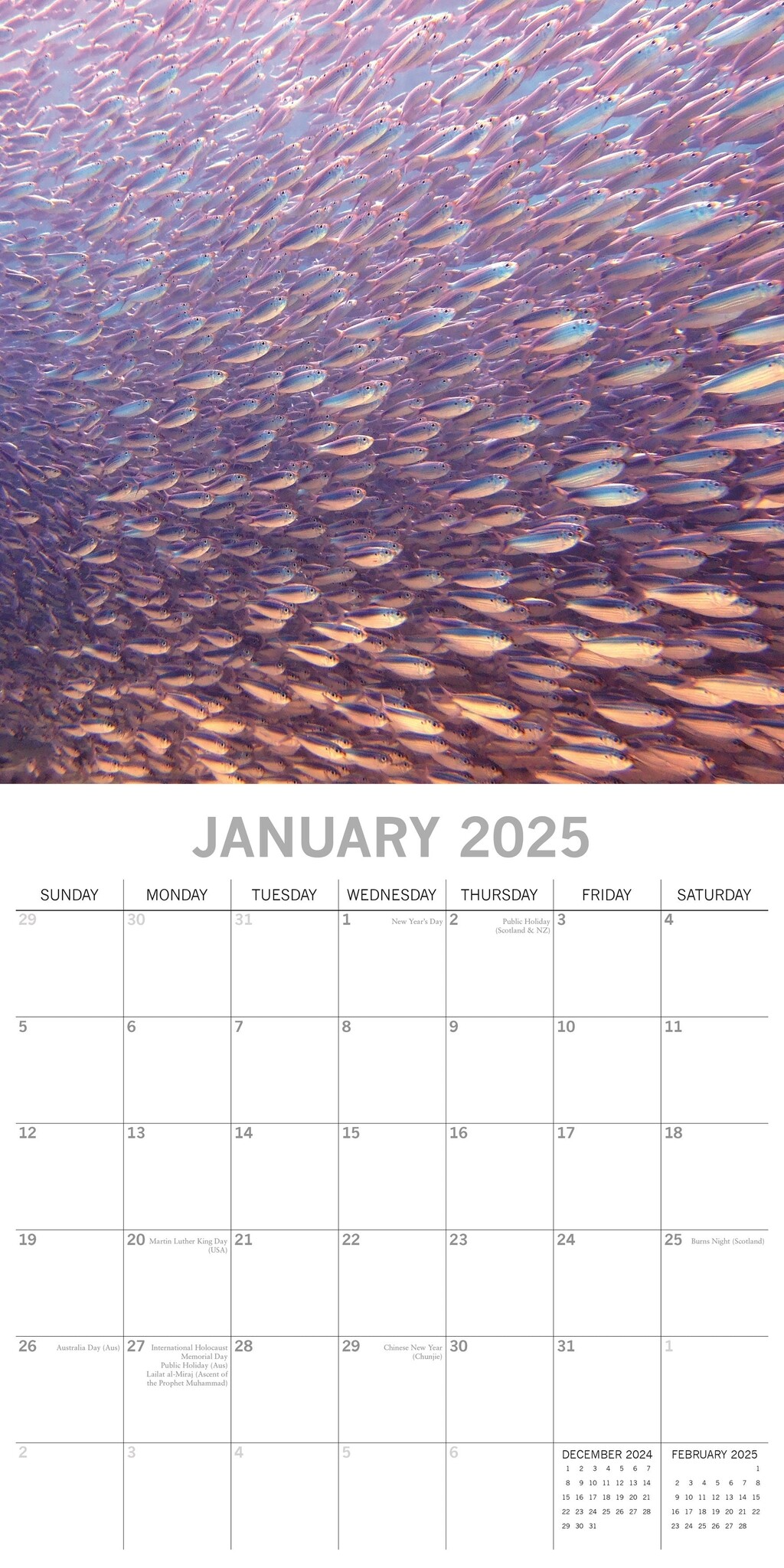 Under the Sea Kalender 2025 Kopen? Bestel eenvoudig en snel online ...