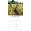 Calendrier des fleurs sauvages 2025