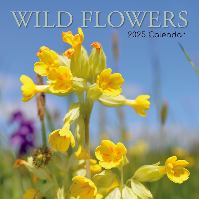 Calendrier des fleurs sauvages 2025