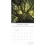 Woodland Scenes Calendar 2025