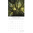 Woodland Scenes Kalender 2025