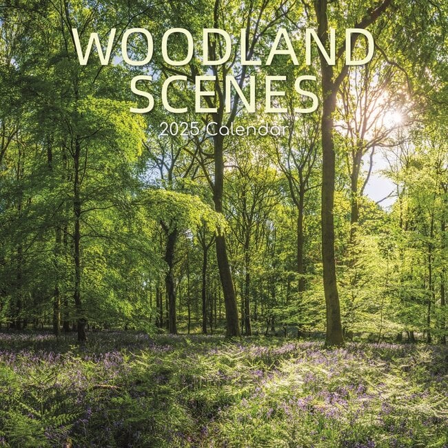 The Gifted Stationary Woodland Scenes Kalender 2025