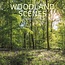 The Gifted Stationary Woodland Scenes Calendar 2025