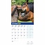 RSPCA, Britischer Kalender für Pferde und Ponys 2025