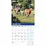 RSPCA, Britse Paarden en Pony's Kalender 2025