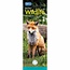 RSPCA, British Wildlife Slim Calendar 2025