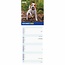 RSPCA, I Love Puppies Schlanker Kalender 2025