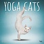 Browntrout Calendario Gatti Yoga 2025