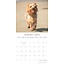 Calendario Yorkshire Terrier 2025