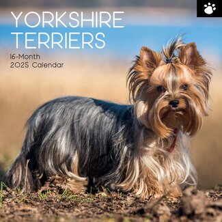 The Gifted Stationary Calendario Yorkshire Terrier 2025