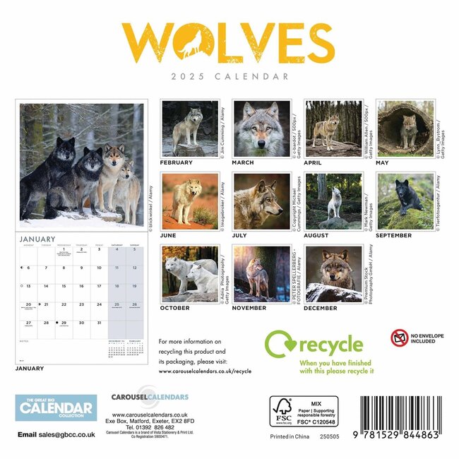 Buying Wolves Mini Calendar 2025 Order easily online Kalenderwinkel.nl