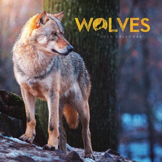 CarouselCalendars Wolves Calendar 2025 Mini