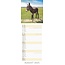 Calendario sottile Baby Animals 2025