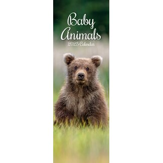 The Gifted Stationary Baby Animals Slimline Calendar 2025