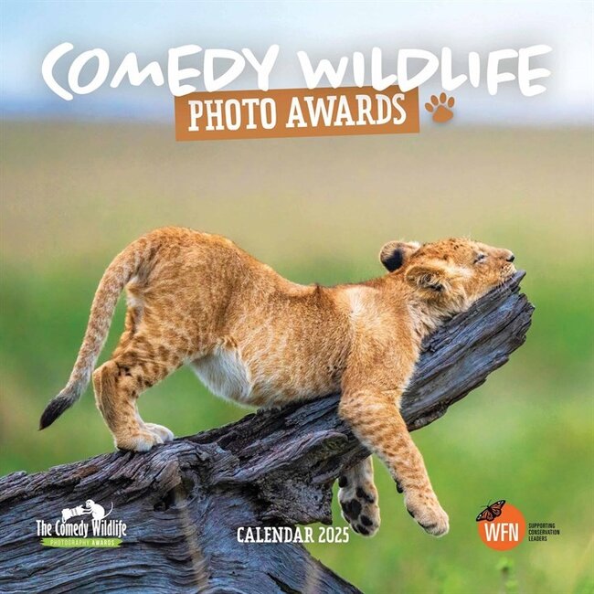 CarouselCalendars Comedy Wildlife Calendar 2025