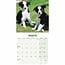 Border Collie Mini Calendrier Chiots 2025