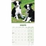 Border Collie Mini-Kalender Welpen 2025