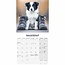 Border Collie Mini Calendrier Chiots 2025