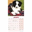 Border Collie Mini Calendrier Chiots 2025