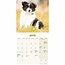 Border Collie Mini-Kalender Welpen 2025