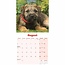 Border Terrier Mini Calendrier Chiots 2025