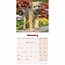 Border Terrier Mini-Kalender Welpen 2025