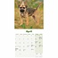 Border Terrier Mini-Kalender Welpen 2025