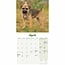 Mini calendario Border Terrier Cachorros 2025