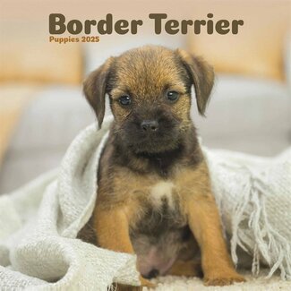 CarouselCalendars Border Terrier Mini Calendrier Chiots 2025