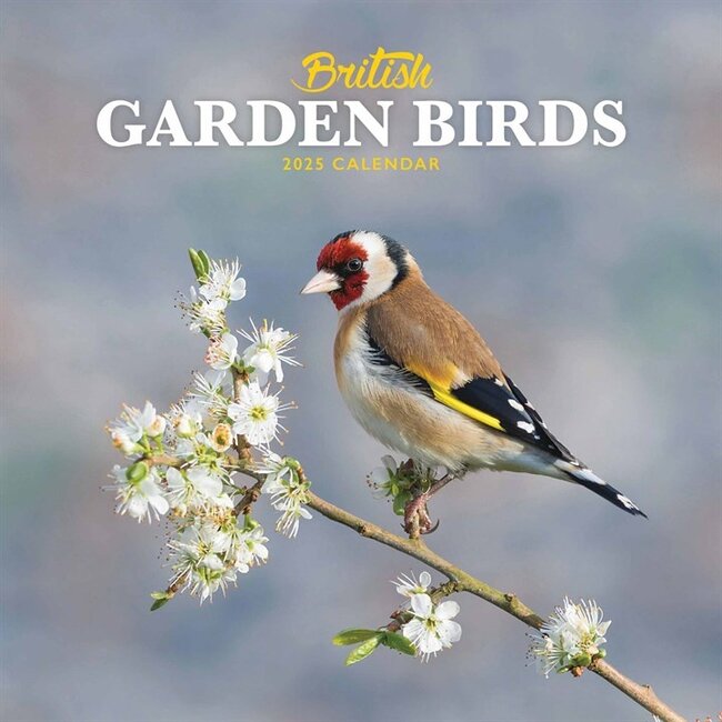 CarouselCalendars Garden Birds Calendar 2025 Mini