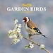 CarouselCalendars Calendario degli uccelli da giardino 2025 Mini