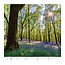 Calendrier forestier 2025