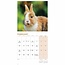 Bunnies Calendar 2025 Mini