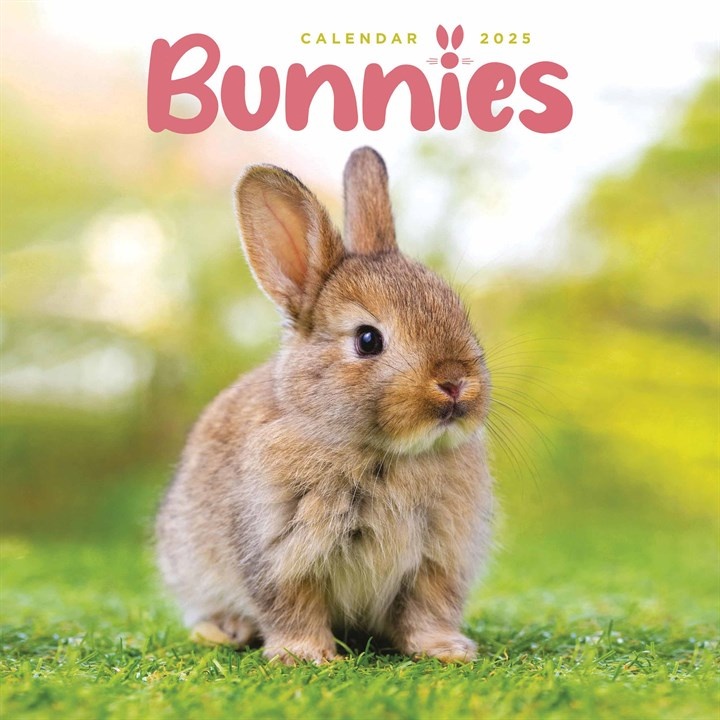 Bunnies Kalender 2025 Mini