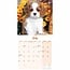 Calendario dei cuccioli di Cavalier King Charles Spaniel 2025 Mini