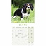 Calendario dei cuccioli di Cavalier King Charles Spaniel 2025 Mini