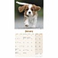 Cavalier King Charles Spaniel Chiots Calendrier 2025 Mini