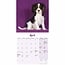 Calendario dei cuccioli di Cavalier King Charles Spaniel 2025 Mini