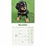 Cocker Spaniel Inglés Cachorros Calendario 2025 Mini